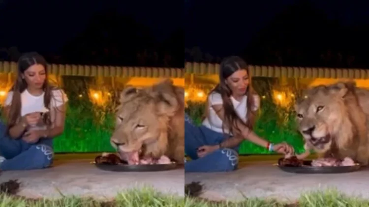 Qadın şirlə yemək yedi - Hər kəs qorxuya düşdü - VİDEO