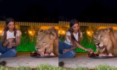 Qadın şirlə yemək yedi - Hər kəs qorxuya düşdü - VİDEO