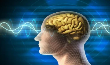 Bu vərdişlər beyin xəstəliklərini sürətləndirir