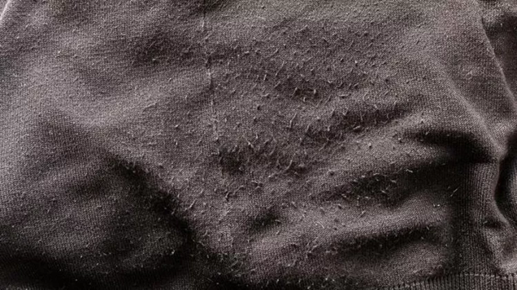 Tiftikləri asanlıqla təmizləyən üsul - yeni kimi görünəcək