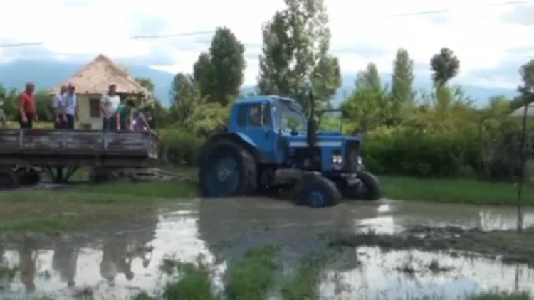 Bu kəndi su basdı - sakinlər köçürülür - VİDEO