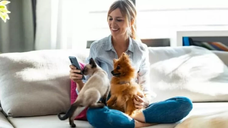 Bu insanlar ev heyvanı ilə yaşamamalıdır - SƏBƏB