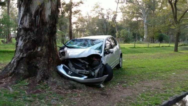 Zaqatalada minik avtomobili ağaca çırpıldı - Xəsarət alanlar var