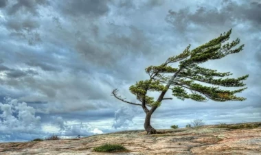 Duman olacaq, külək əsəcək