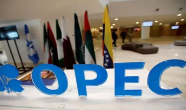OPEC 2024-cü ildə Azərbaycanda maye karbohidrogenlərin hasilatı ilə bağlı proqnozunu yeniləyib