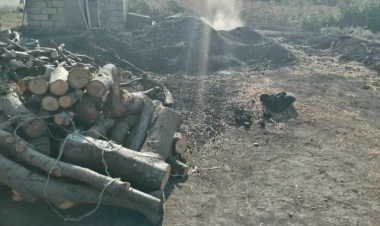 Qanunsuz kömür istehsalı aşkarlandı