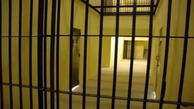 Qəddafinin oğlu bu şərtlə azadlığa çıxdı