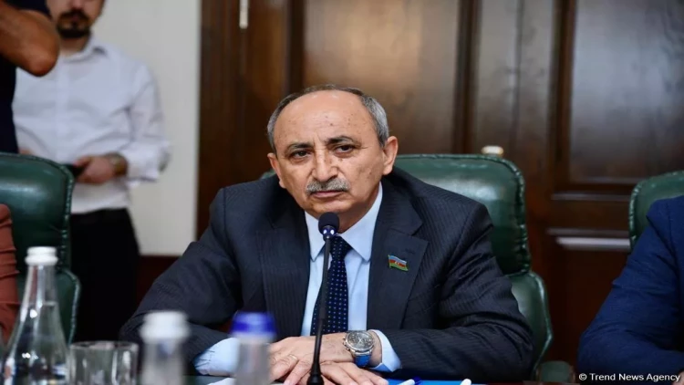 Dünya ictimaiyyəti Cənubi Qafqazda baş verən proseslər barədə tam məlumatlı deyil - Əziz Ələkbərli