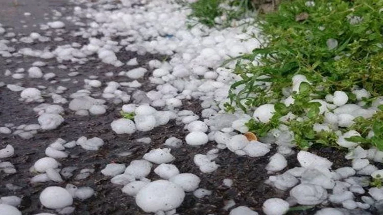 Gəncəyə dolu yağdı - VİDEO