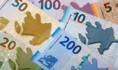 Kristina Doroş rəqəmsal manatın Visa şəbəkəsinə inteqrasiyasından danışdı