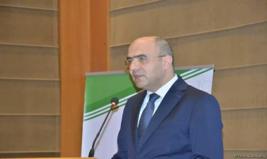 Şəxsi istifadə üçün ölkəyə dərman gətirilməsinə məhdudiyyət qoyulmur - Rasim İsmayılov