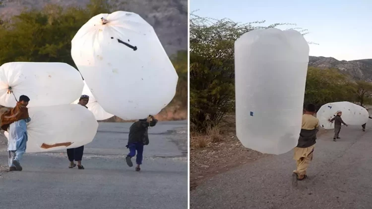 Çarəsizliyin şəkli -  torbalara doldurub evlərinə aparırlar - FOTO