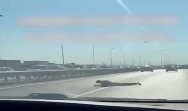 Bakıda dəhşət: Yolun ortasına uzanıb başını asfalta çırpdı - VİDEO