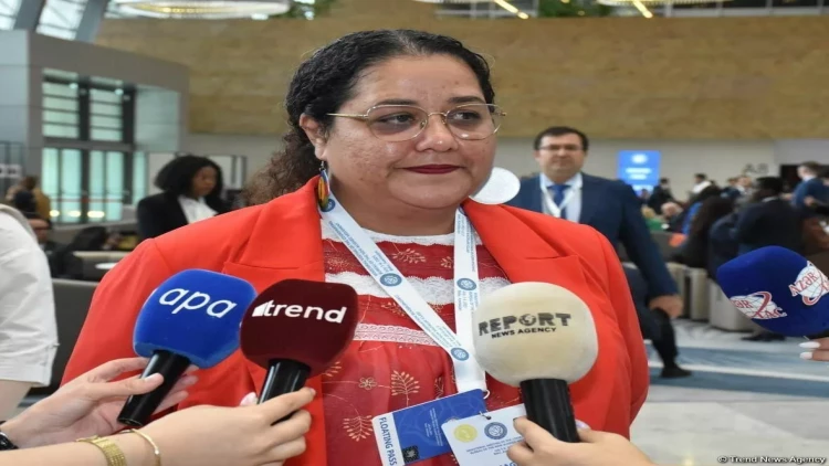 Prezident İlham Əliyev haqlıdır, Fransa çox qəddar müstəmləkəçidir - BMT nümayəndəsi