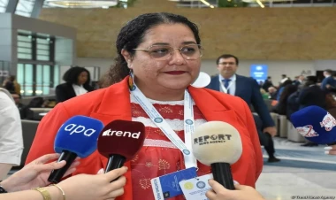 Prezident İlham Əliyev haqlıdır, Fransa çox qəddar müstəmləkəçidir - BMT nümayəndəsi