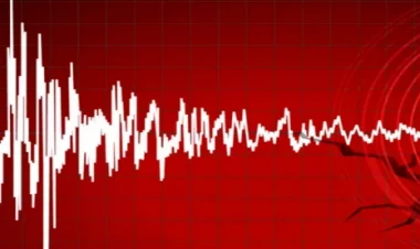 Zəlzələni əvvəlcədən bilmək mümkündür? - VİDEO