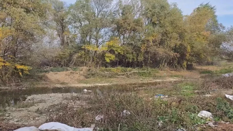 Türkiyə vətəndaşı Gürcüstanda meşədə ölü tapıldı