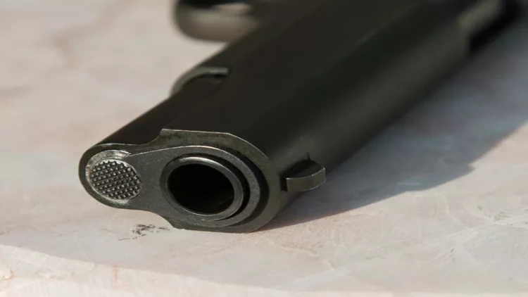 Ana oğlunu güllələdi - Qeyri-adi səbəb