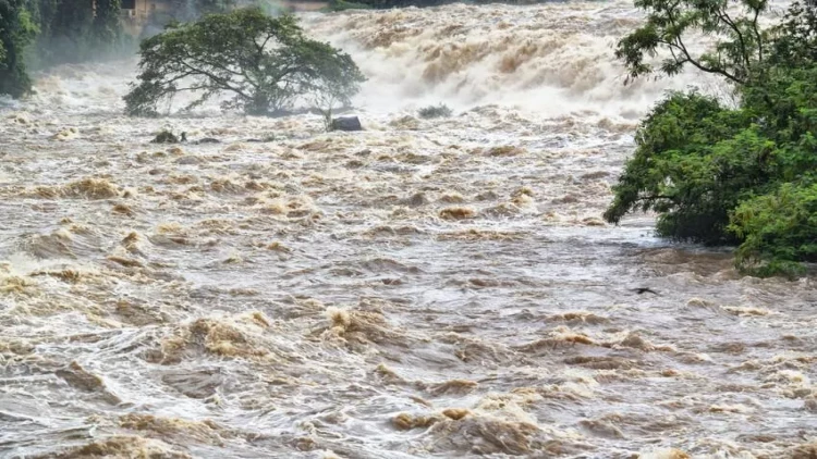 4 qadın xilas edilib