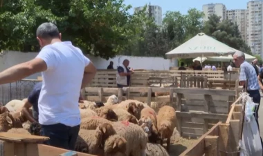 Bayramın son günündə qurbanlıq heyvanlar UCUZLAŞDI... - VİDEO