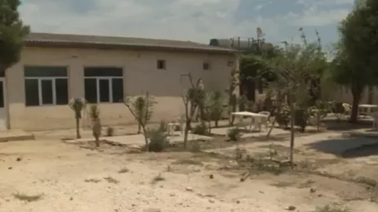 Bakıda kafedə qətl törədilib - VİDEO