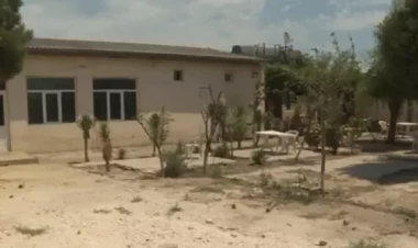 Bakıda kafedə qətl törədilib - VİDEO