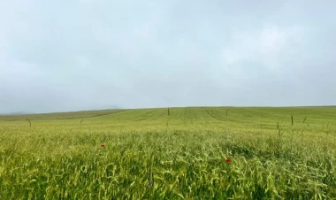 Aqrar Sığorta Fondu təsərrüfatlara dəymiş zərəri müəyyənləşdirir