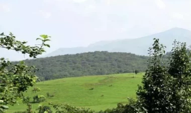 Söyüdlüdəki şirkətin ekoloji normalara tam riayət etməsi tələb olunur - Komissiya