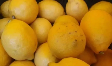 Hansı halda sürücüyə limon lazımdır? - Bu hiylədən xəbərdar olun