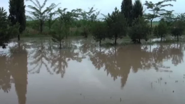 Sel bölgələrə ağır fəsadlar verməkdə davam edir... - VİDEO