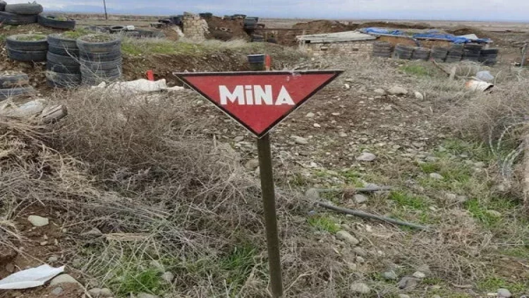 Minatəmizləyən maşınların alınması və itlərin sayının artırılması nəzərdə tutulub