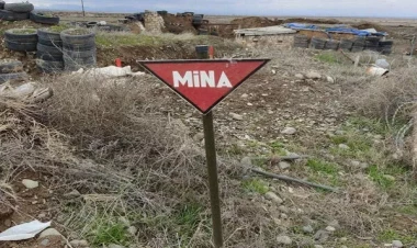 Minatəmizləyən maşınların alınması və itlərin sayının artırılması nəzərdə tutulub