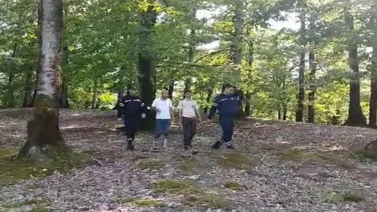 Lənkəranda meşədə itkin düşən şəxs tapılıb - VİDEO