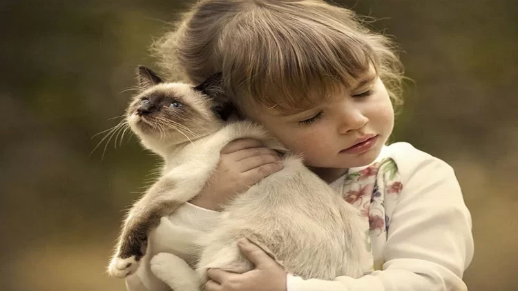 Bu 3 Bürc pişiklərlə eyni enerjidən qidalanırlar