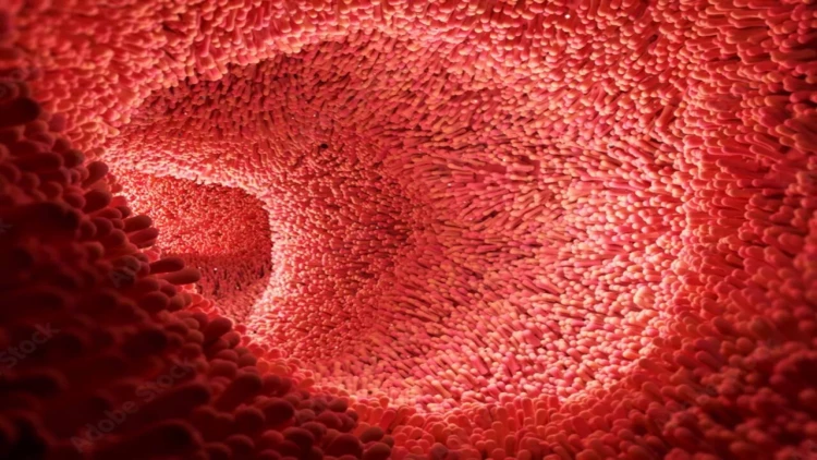 Orqan qədər vacibdir - Balans pozulanda xəstəliklər ağır yaranır