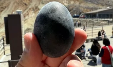 Kömür kimi qara yumurtalar qızıldan da dəyərlidir: 195 manata satılır - FOTO