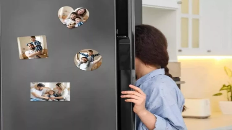 Soyuducunun qapısına maqnit yapışdırmaq onu tez xarab edir?