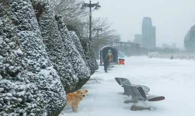 Bakıda güclü qar gözlənilir? - hazırlıqlar başladı
