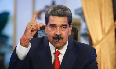 Tutub gətirənə 50 milyon dollar verəcək