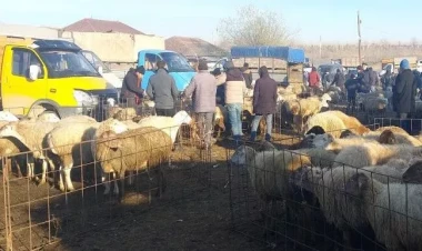 Heyvan bazarları nə vaxt açılacaq?