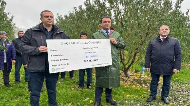 96 min ödəmişdi, 712 min manat geri qaytarıldı - FOTO