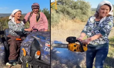 Kəndə köçüb, banka bağlayıb, toyuq saxlayan MƏŞHURLAR