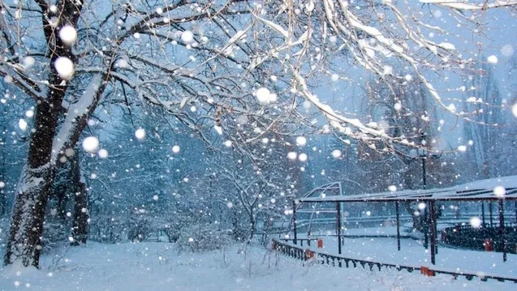 Kəlbəcərə güclü qar yağır - VİDEO