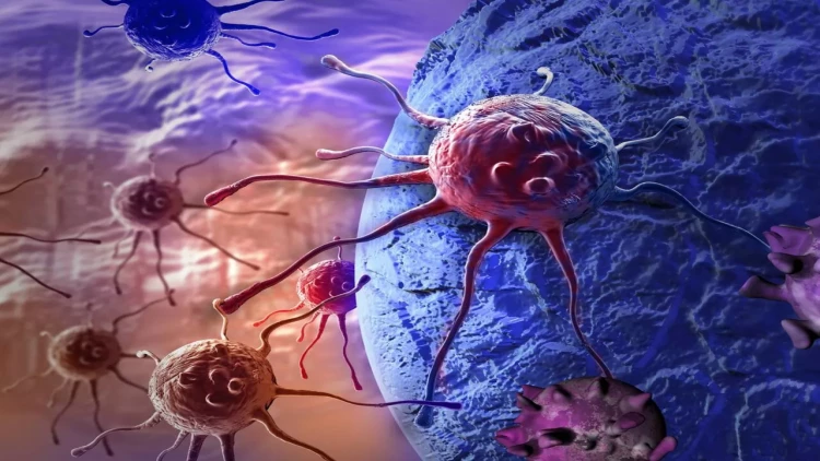 İdman edənlər xərçəngə daha az tutulur - Araşdırma