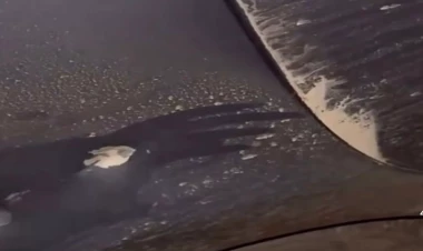 Yoldan keçən avtomobilləri daşlayanlar kimdir?