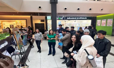 Gəncədə “Polşa  Azərbaycanlı rəssamların gözü ilə” adlı yaradıcılıq vorkşop və sərgi keçirilib – FOTO