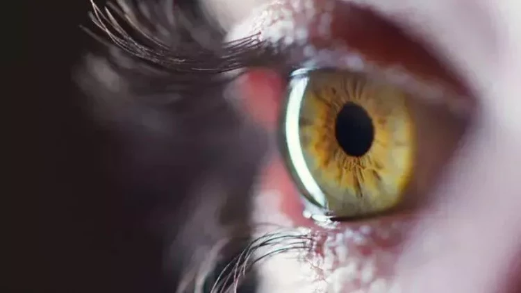 Görmə qabiliyyətini bərpa etmək üçün yeni üsul tapıldı