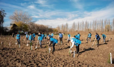 IDEA Sabirabad və Cəlilabad rayonlarında kütləvi ağacəkmə aksiyaları təşkil edib - FOTO