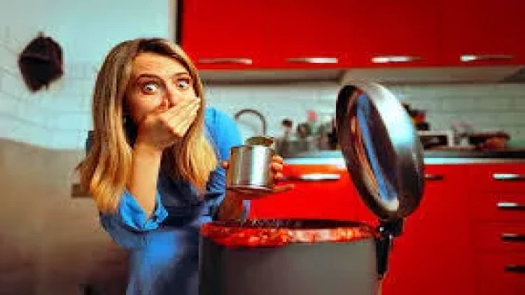 Zibil qablarından gələn qoxuya SON