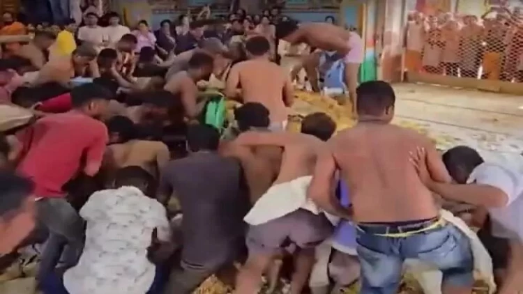 Yemək üçün bir-birilərini əzdilər - VİDEO